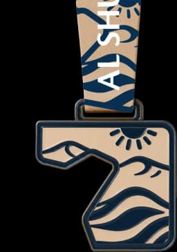 Al Shuwaib medal piece
